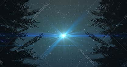 Animation of glowing spot flickering and disappearing on night sky with stars surrounded by trees