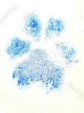Blue Dog paw print showing pads