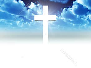 The Cross 25