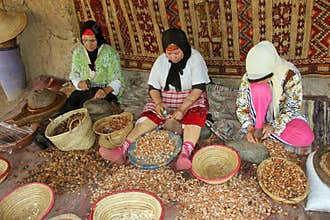 Argan oil