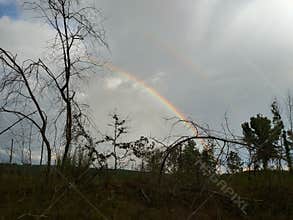 Rainbow at dusk
