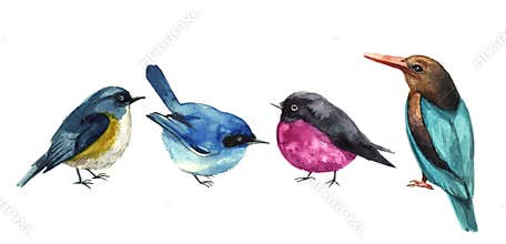 Watercolor beautiful portrait with tropical birds. Birds watercolor silhouette sketch