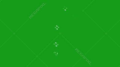 Soap bubbles green screen motion graphics