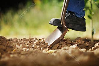 Digging soil
