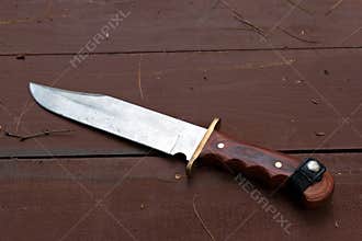 Large Bowie Knife