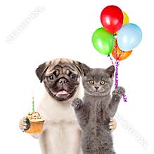 Cat and Dog holding balloons and cake. isolated on white background