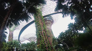 Beautiful park. Singapore.