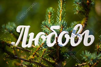 Russian language, the word Love cut out of white plastic. Park, blue spruce. Summer