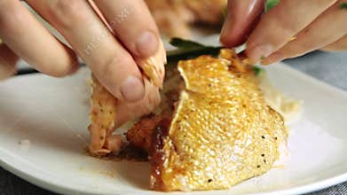 Woman food styling and cooking salmon fish with rice and cucumber