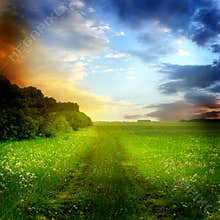 Beautiful summer landscape