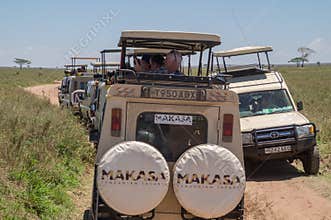 Mass tourism: Safari tourists looking for wild animals