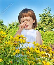 Pollen fever allergy