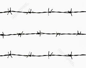 Barbed wire