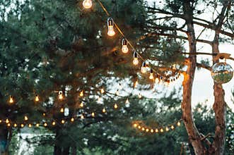 Light bulb decor in outdoor party, Wedding party