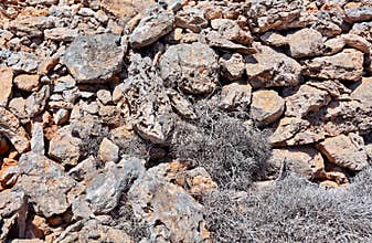 Soil with rocks and arid