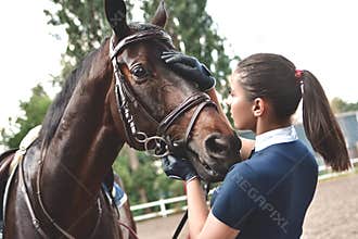 Close up hands of jockey woman hugging a horse. Young girl petting her horse in stable. Equine therapy concept. Love between