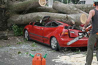 Chainsaw rescue