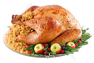 Roast Turkey