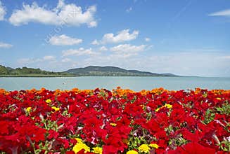Beautiful panorama to Lake Balaton