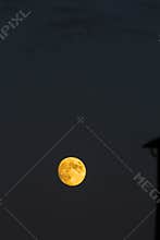Free moon of the horor