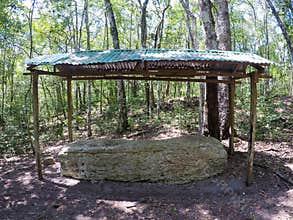 Naachtun Archaeological Site and Archeology Work in Guatemala