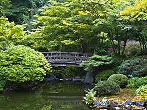 Japanese garden