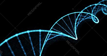 DNA helix, gene molecule and genetic chromosome cell, 3D spiral loop. Human DNA molecule blue light on black background
