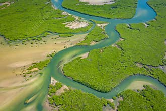 Aerial view of mangrove forest in the  Saloum Delta National Park, Joal Fadiout, Senegal. Photo made by drone from above. Africa