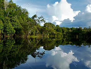 Amazon river, Brazil