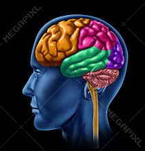 Brain activity intelligence
