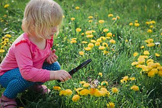 Little girl looking at butterfy, kids learning nature