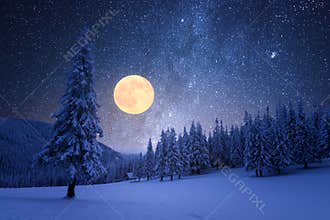 Winter night with starry sky and full moon