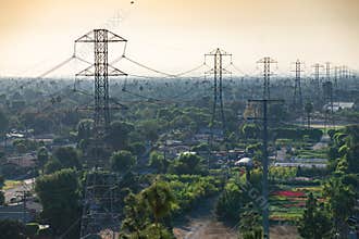 Anaheim Transmission Towers amid Trees and Gardens