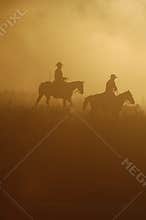 Dawn Ride