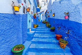 Colourful pot plants in Callejon El Asri in Chefchaouen