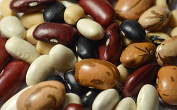 Variety of beans, legumes, peas