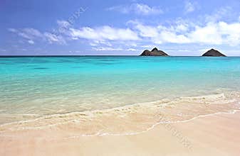 The beach