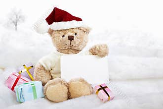 Chrismast bears