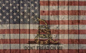 Vintage american flag and dont tread on me flag