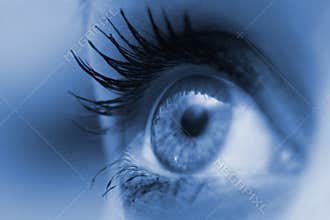 Woman eye