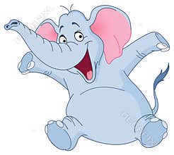 Elephant