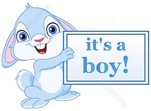 Baby bunny boy