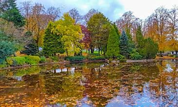 Autumn Colours in The Park
