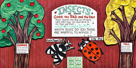 Insects, Good, the Bad and the Ugly