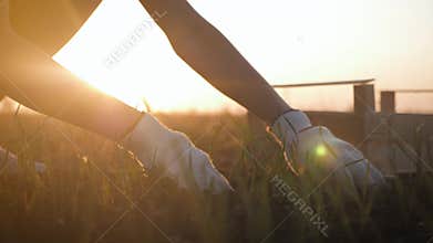 Farmer woman, wearing work gloves, filled with freshly dug land to plant vegetables. Farmer working in field. Hands