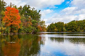 Bond Lake Oak Ridges Trail