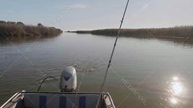 Two catfish are pulled out from water. Fishing rod is over boat. Poaching.