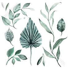 Set of watercolor illustrations of leaves and greenery of the tropics. Jungle leaves clipart. Stylish invitation design