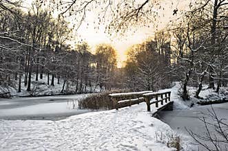 Winter landscape