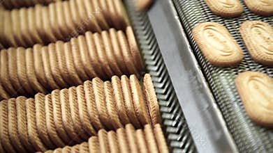 Cookie factory, food industry. Fabrication. Cookie production.
